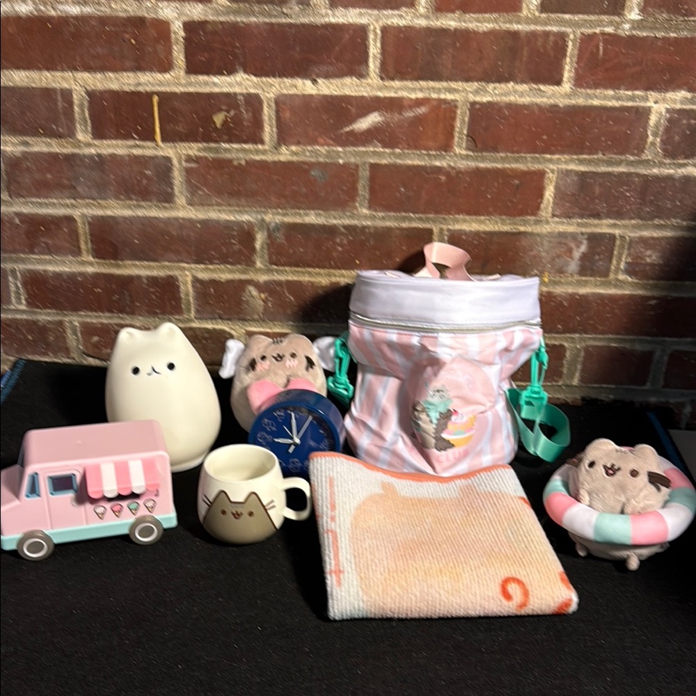 Pusheen Exclusive Box Set Collection